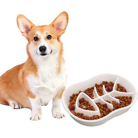Gamelle anti-glouton en céramique pour chien et chat, idéale pour les chiots et chiens de taille moyenne. Convient aux animaux de compagnie.