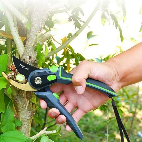 Sécateur de jardin, sécateur pour jardinage robuste avec lames en acier inoxydable antirouille, meilleur sécateur d CISAILLE A MAIN (1/5)