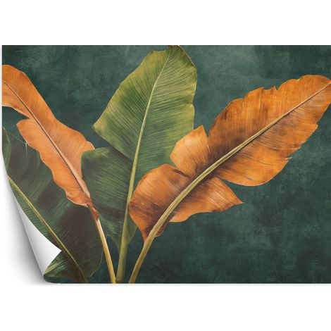 Papier peint Feuilles de bananier tropicales 300x210 (1/5)