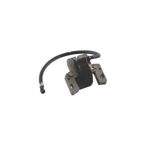 592846 - Bobine d'allumage pour moteur Bicylindre BRIGGS et STRATTON (1/4)