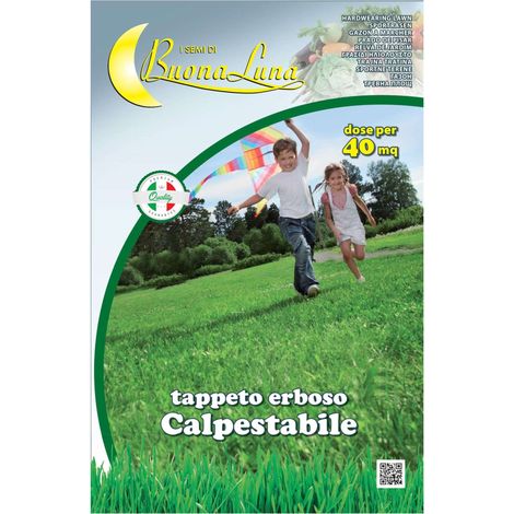 Semi Prato Calpestabile 1 Kg