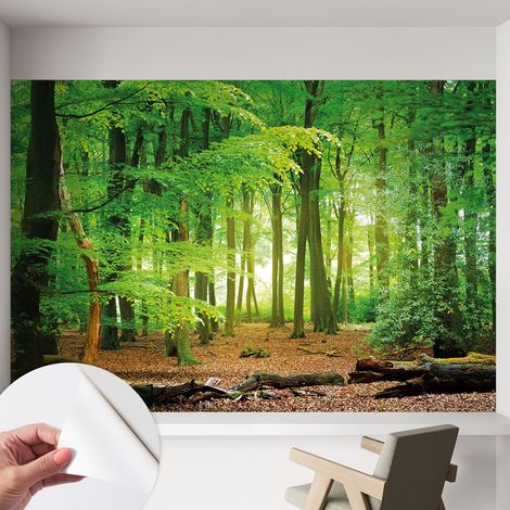 Fotomurale adesivo stickers - murali decorativo - soggiorno moderno - effetto realistico - Foresta verde 152x104 cm (1/5)