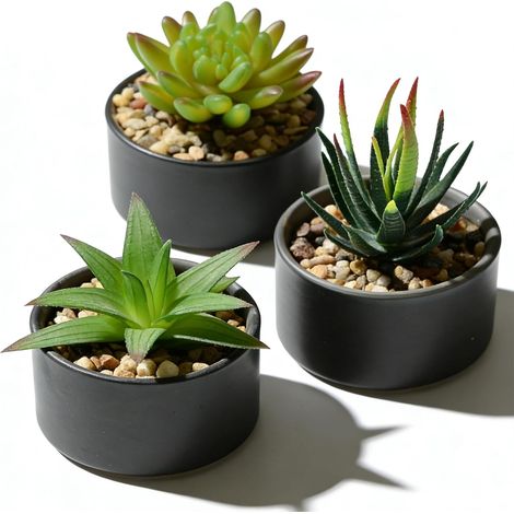 Lot de 3 plantes succulentes artificielles - Petites plantes succulentes - Décoration de chambre à coucher - Avec pots noirs - Pour chambre à coucher, salon, chambre, bureau, décoration de la (1/5)