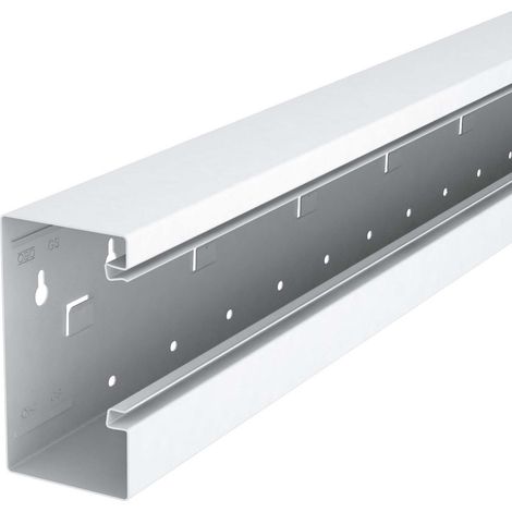 OBO Bettermann Vertr Geräteeinbaukanal o. OT 70x130x2000, St GS-A70130RW 2 Stk (1/3)