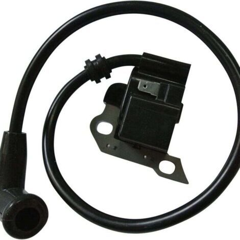 Bobine d'allumage pour souffleur à dos Stihl BR340 BR340 L BR380 BR420 BR420 C SR340 SR420 avec bougie d'allumage, pièces de rechange 4203 400 1302 (1/4)
