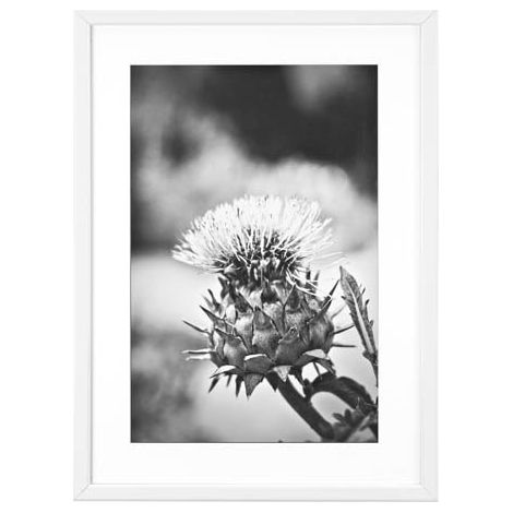 Cadre aluminium pour exposition 70x100cm blanc (1/3)