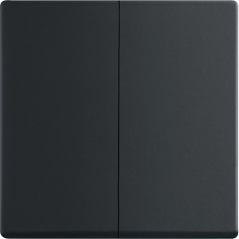 Futur Linear / Enjoliveur pour double va et vient Noir Mat 2CKA001751A3038 ABB BJE29685 (1/2)