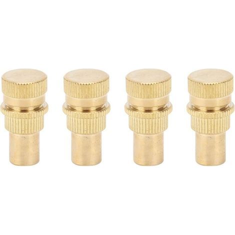 Dégonfleur Automatique de Pneu, 4 Pièces Laiton Outil de Noyau de Valve de Pneu Accessoire de Pneu de Roue Automatique pour Pneus, Voiture, Camion, Moto, et VTT (1/5)