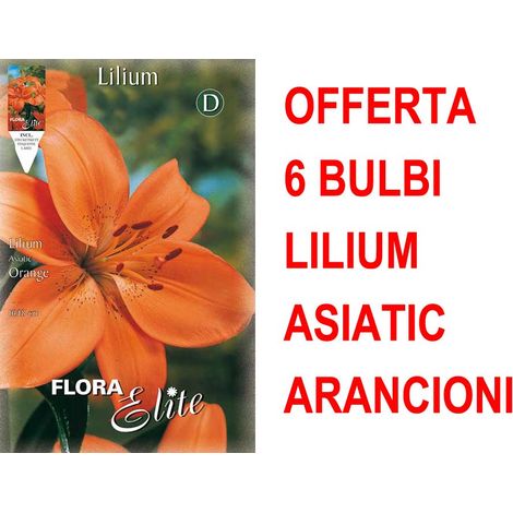 OFFERTA 6 BULBI LILIUM ASIATIC ARANCIONE BULBS BULBES