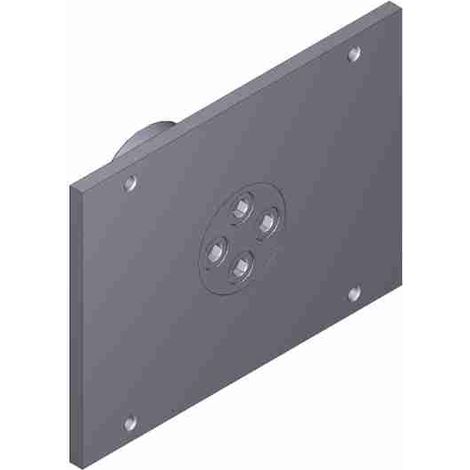 Piastra Fissaggio Albero – G12000 Ricambio CAME 119RIG112