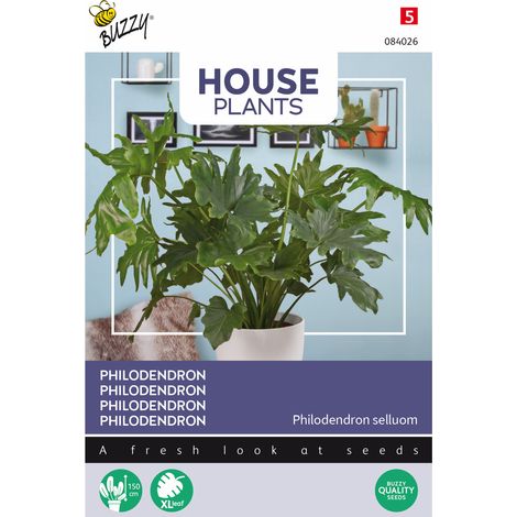 Buzzy House Plants Philodendron Selluom Semences - Ca. 20 graines (1/2)