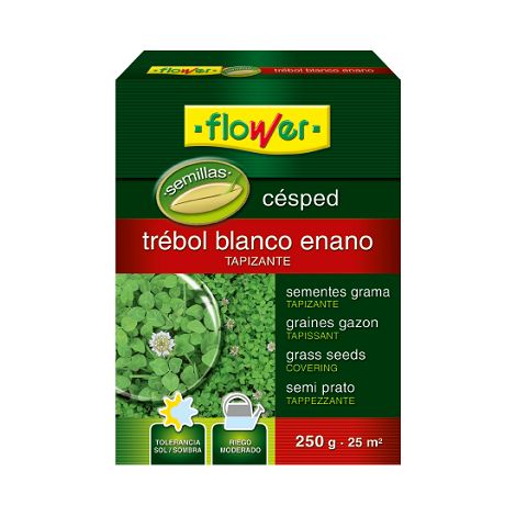 Graines de fleurs de cfe TR€LALE NARELLE BLANC, 250 GR