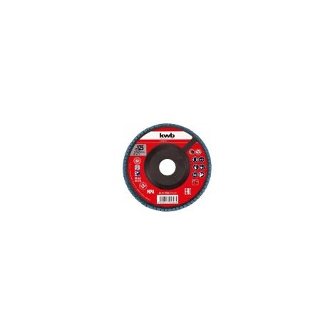 DISCO LAMELLARE IN ZIRCONIO DIAM. 125 MM GRANA 60 CON SUPPORTO IN PLASTICA