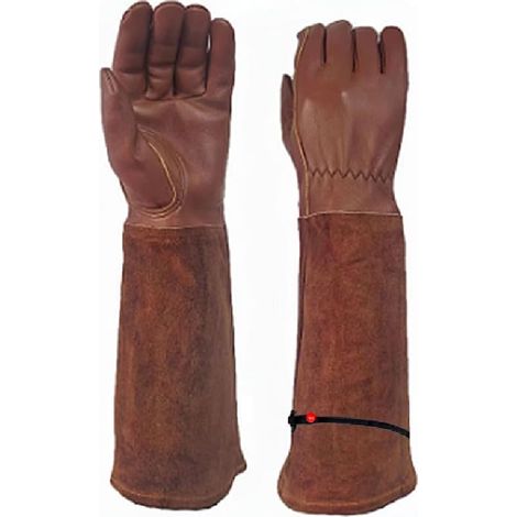 Gants de jardinage en cuir de vache - Gants d'élagage à manches extra-longues - Résistants aux épines - Pour jardinier - Taille S (1/5)