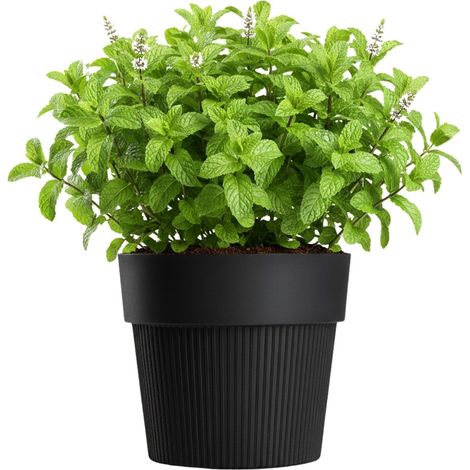 SILVA LINE recycelter Blumentopf, schwarz, H 17,4 x 20 cm