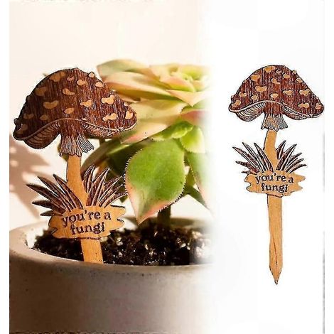 Witzige, handgefertigte Gartenschilder aus Holz für Sukkulenten, inspirierende Deko-Marker, 10 cm, 6er-Set (1/4)