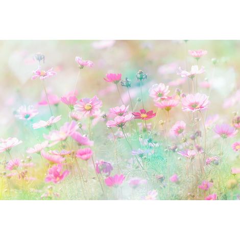 Papier peint panoramique - Fleurs - 130 cm x 87 cm (1/2)