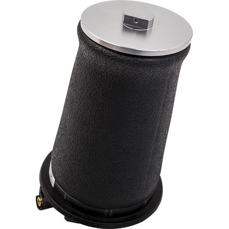 Arrière Air Ressort Pneumatique Amortisseur 4.4 4x4 LP pour Range Rover P38 4.0 (1/5)
