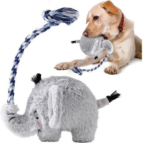 Jouets à mâcher pour chiens, jouets à mâcher pour chiens, jouets amusants (1/5)