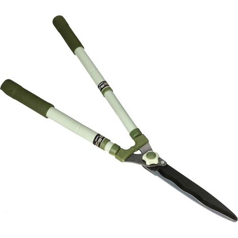 Taille-haie télescopique 625-810 mm pour couper haies et branches (1/5)