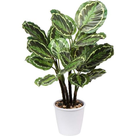 Briful 63CM Künstliche Calathea Medaillon Kunstpflanze Tropische Zimmerpflanze (1/5)
