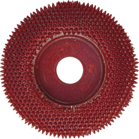 Proxxon 29050 Raspelscheibe mit Metallnadeln für Langhalswinkelschleifer LWS LHW (1/3)