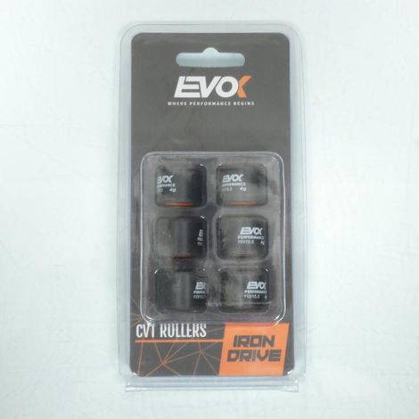 Variomatik-Rolle EVOK für Roller Piaggio 50 ZIP 2T AC 2009 bis (1/4)