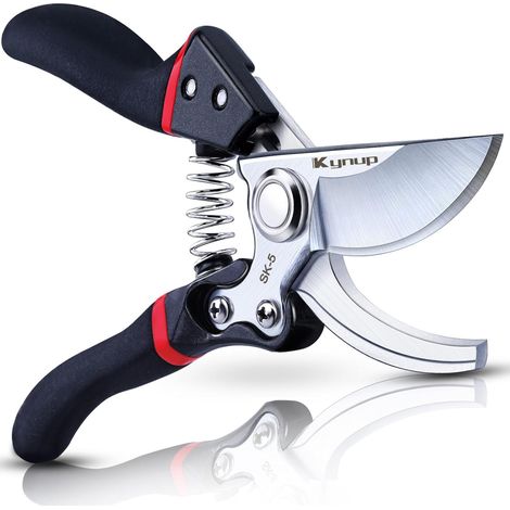Sécateur, cisaille de jardin, taille-haie, ciseaux pour plantes, jardinage, tonte, outils de jardin (noir)-AquaForge (1/3)