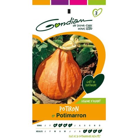 Gondian - Potiron Potimarron
