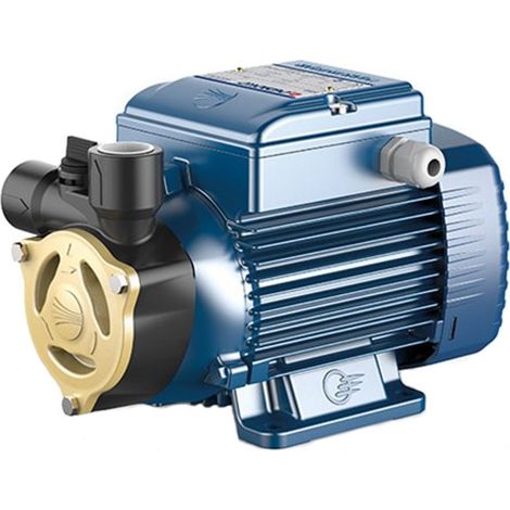 Elettropompa pompe PQAm 60 con corpo pompa Tecnopolimero Pedrollo 0,4 HP 0,37 kW