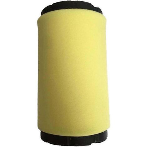 Filtre à air pour moteurs de tondeuses Briggs & Stratton 31L777, 31M977 et 31Q777 (1/5)
