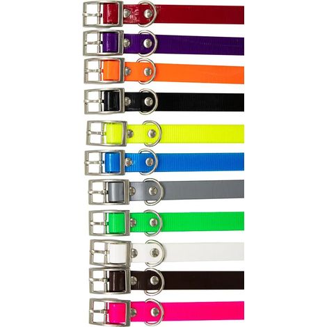 Collier Biogold petit chien ou chiot 3 couleurs (1/5)