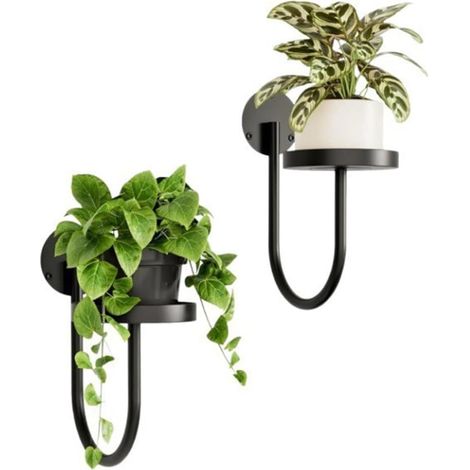 Support mural pour plantes d'intérieur, lot de 2 supports pour pots de fleurs, support en métal pour pothos flottant, étagères décoratives pour le salon, la cuisine, le bureau et la salle de bain (1/5)