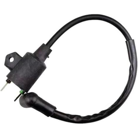 Générateur à essence ET950 ET650, pack haute tension, bobine d'allumage, sac haute tension, accessoires pour générateur (1/3)