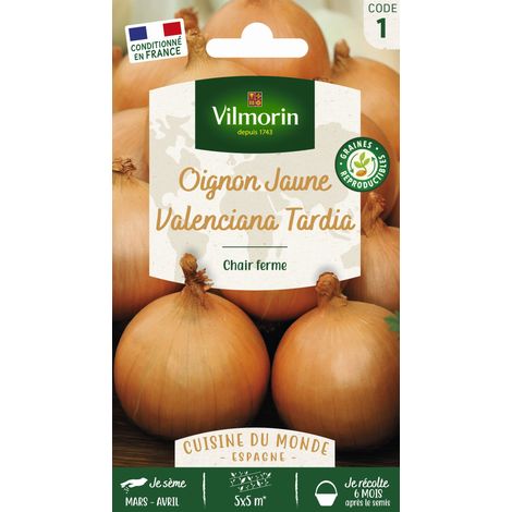 Oignon jaune Valenciana Tardia Vilmorin (1/2)