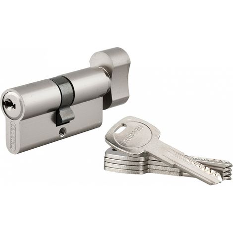 Cilindro europeo Trafic 6 con pomolo 30 x 30 mm, nichelato, 5 chiavi – THIRARD (1/3)