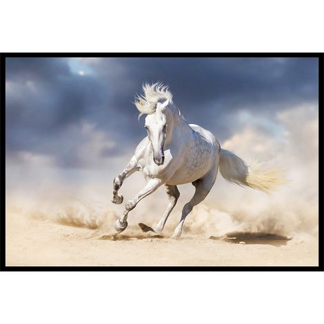 Affiche encadrée cheval blanc au galop (1/5)