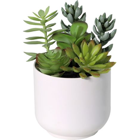 Succulente Artificielle avec Pot Blanc - Plante Grasse Décorative Intérieure - 19 cm - PANGIVO