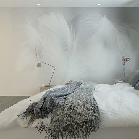 Papier peint panoramique Plumes 2 (1/5)