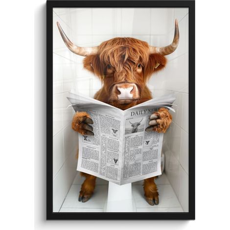 AFFICHE ENCADRÉE Scottish Highlander - Animal - Journal - Toilette Cadre Décoration Murale 40x60 (1/5)