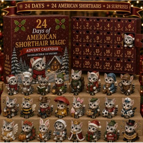 24 Tage magischer Adventskalender für Amerikanische Kurzhaarkatzen (Kalender A für Amerikanische Kurzhaarkatzen)