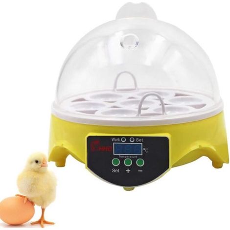Mini incubateur d'œufs numérique à 7 niveaux avec réglage automatique de la température pour canard de poulet avec plateau à œufs Pr (1/4)