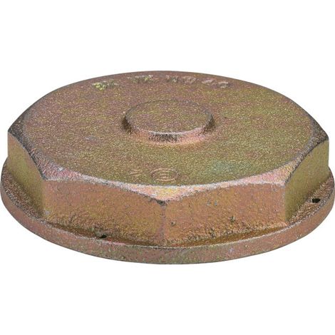 VIEGA 532239 Verschlusskappe G2361 (1/3)