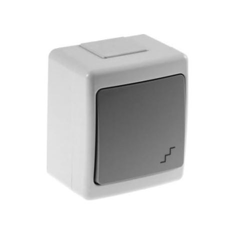 Interruttore ermetico singolo BETA, a 2 vie, grigio, IP44 /D.3610WS/