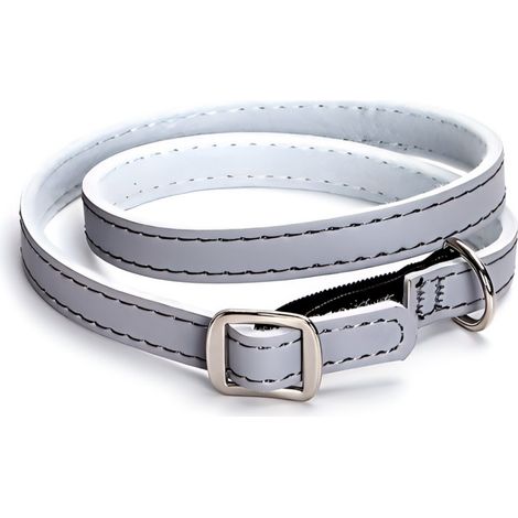Collier Anti-Poux pour Chiens (Animal de Compagnie) Hypoallergénique Résistant à l'Eau pour Promenades en Plein Air