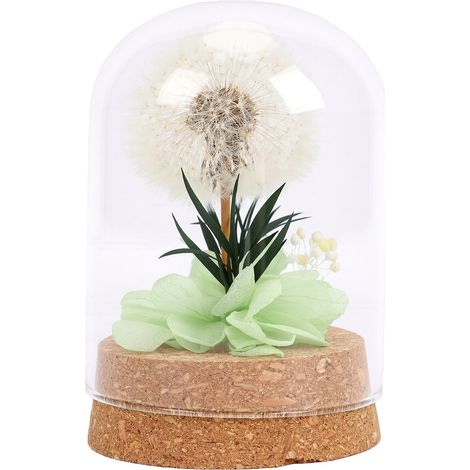 Pissenlit préservé sous cloche en verre, ornement réaliste et durable, cadeau attentionné pour la décoration verte (1/5)