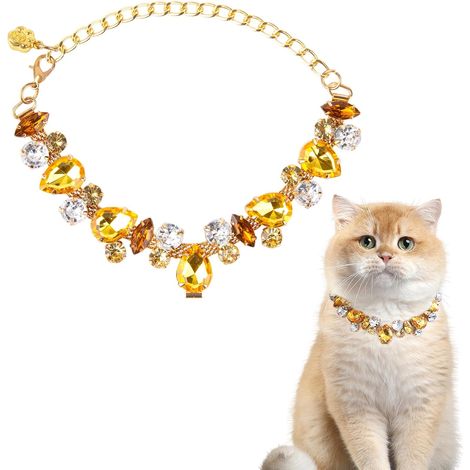 Collier sans danger pour les animaux et chaîne couleur or — Modèle ajustable en acier inoxydable (18–28 cm) (1/4)