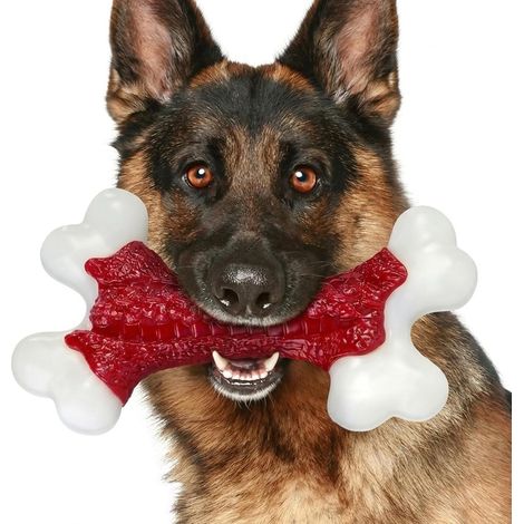 Jouet Chien Indestructible: Jouet pour Chien Durables en Nylon Saveur de Bœuf, Jouets pour Chiens de Grande Moyenne, Jouets à Mâcher pour Chiens Nettoyage Dents et Entraînement (1/5)