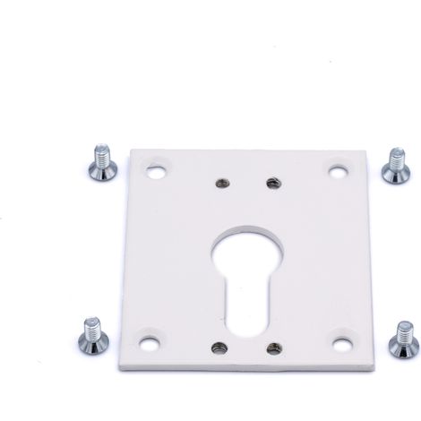 Aufnahmeplatte ZF Führungsblock Kniehebel 60° weiß – ZF D559A