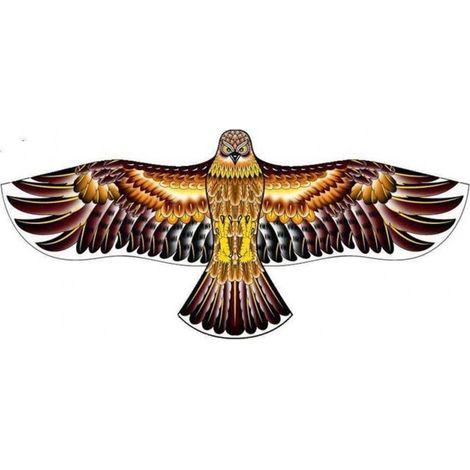 Effaroucheur d'oiseaux cerf volant faucon (1/3)
